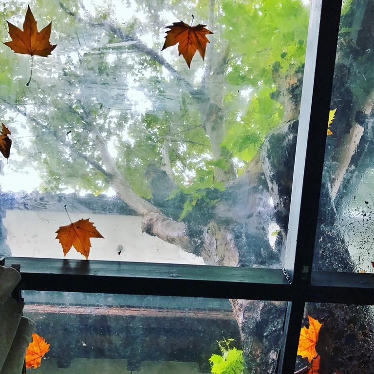 Youxiake Canal Hotel Hangzhou Dış mekan fotoğraf